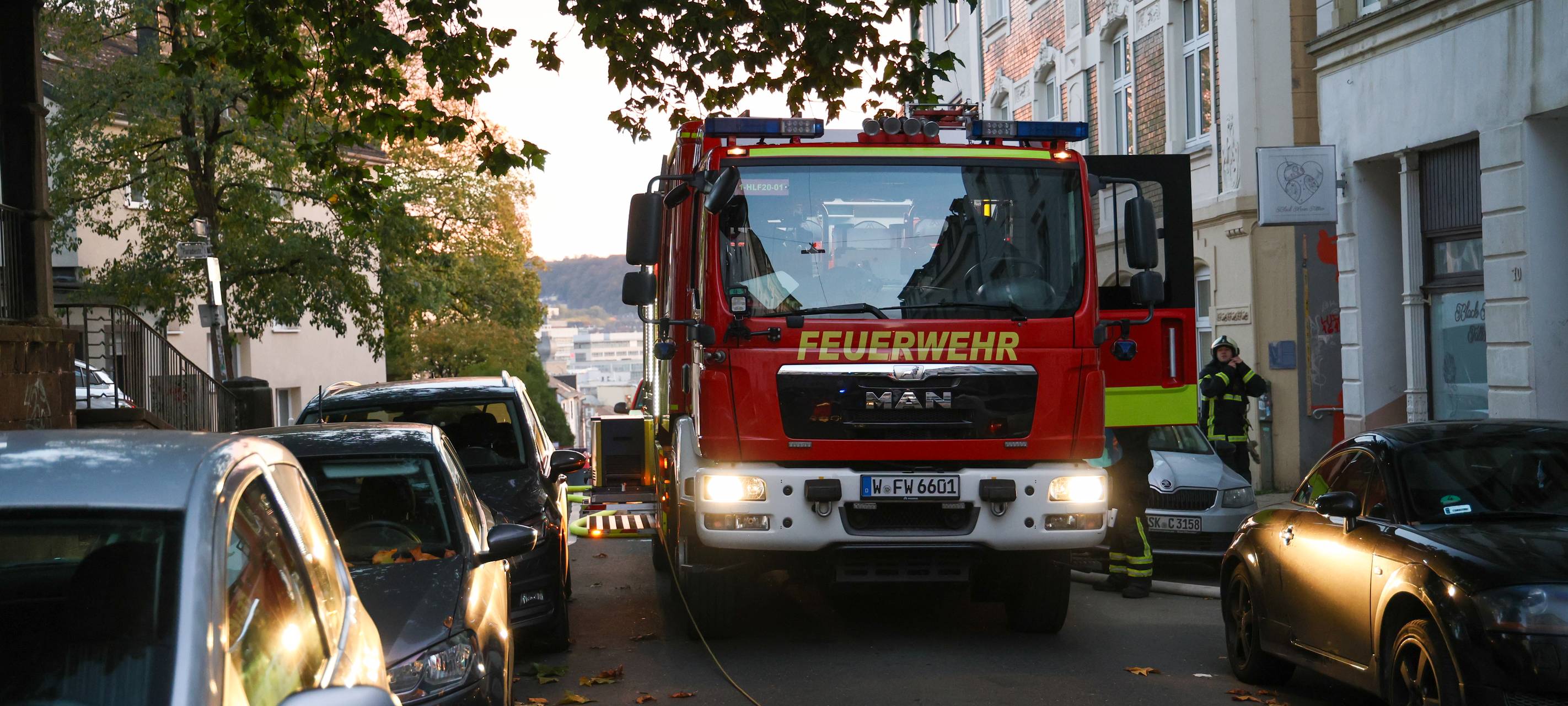 Vögel sterben bei Wohnungsbrand