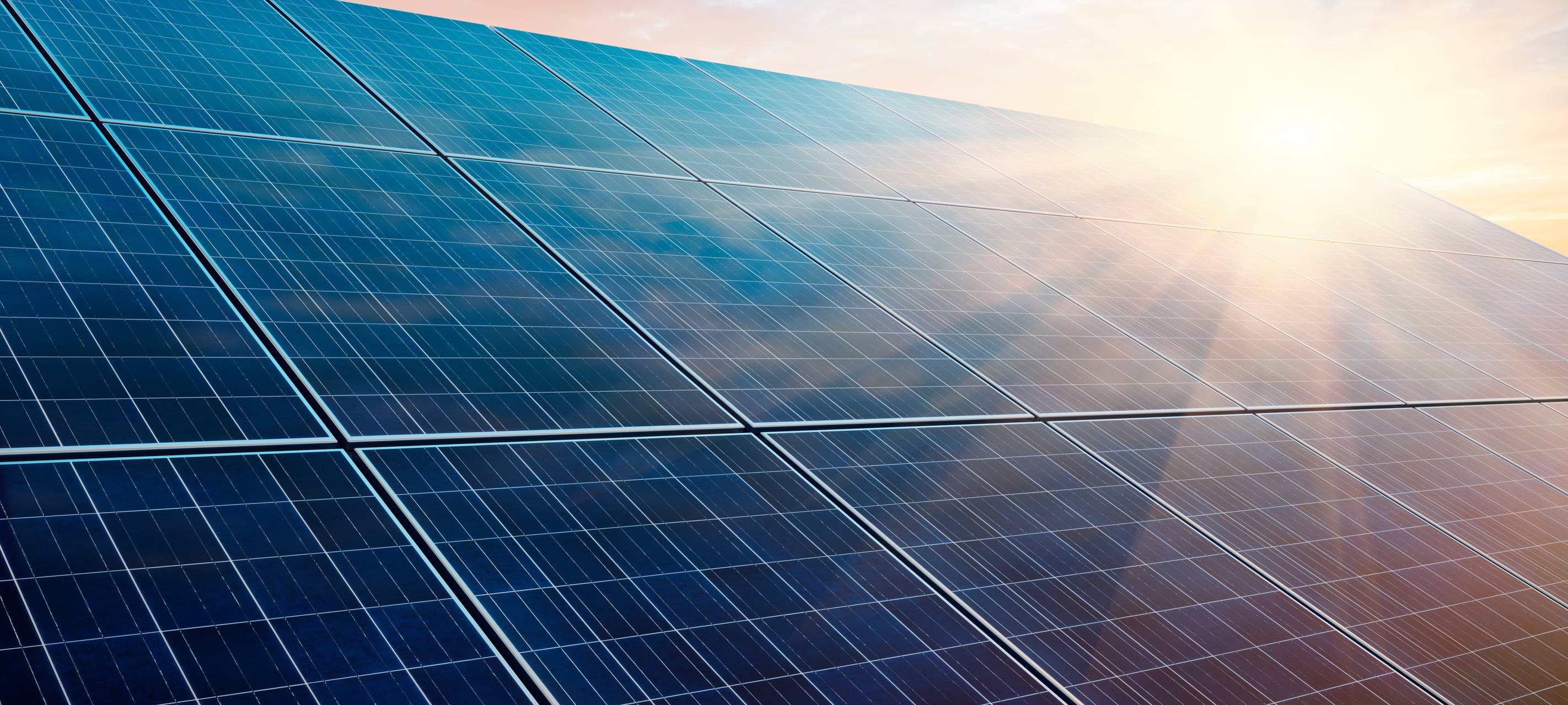 Viel Sonne auf der Friedrich-Engels-Allee