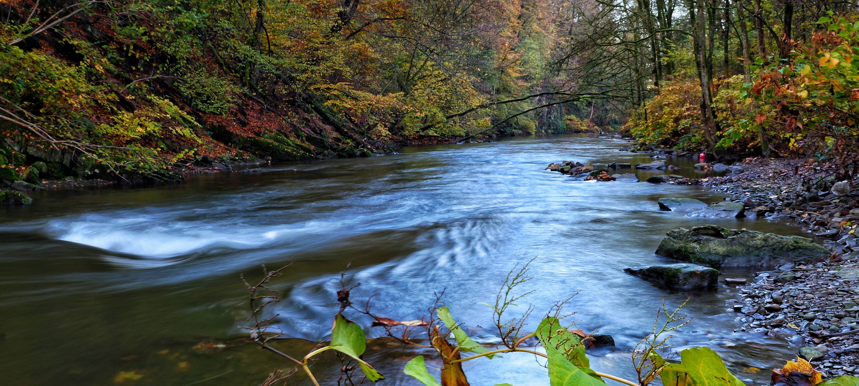Die Wupper schafft EU-Vorgaben nicht