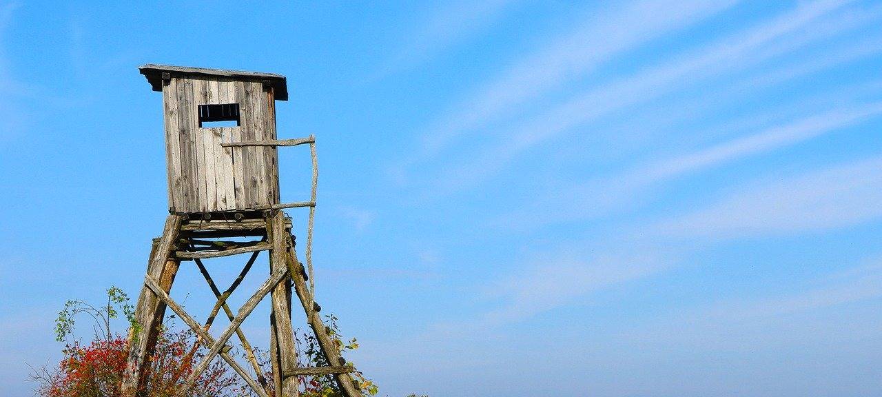 Sicherheits: Jagdschein erst nach genauer Prüfung