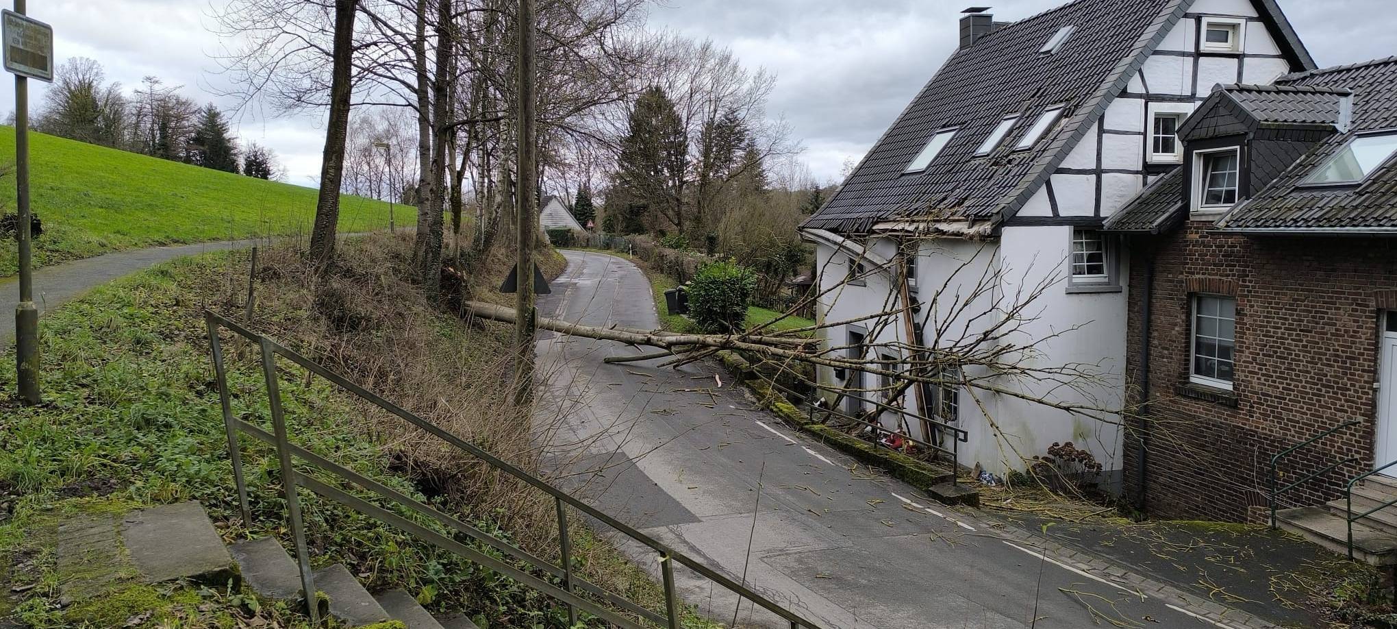 Umgestürzte Bäume in Wuppertal
