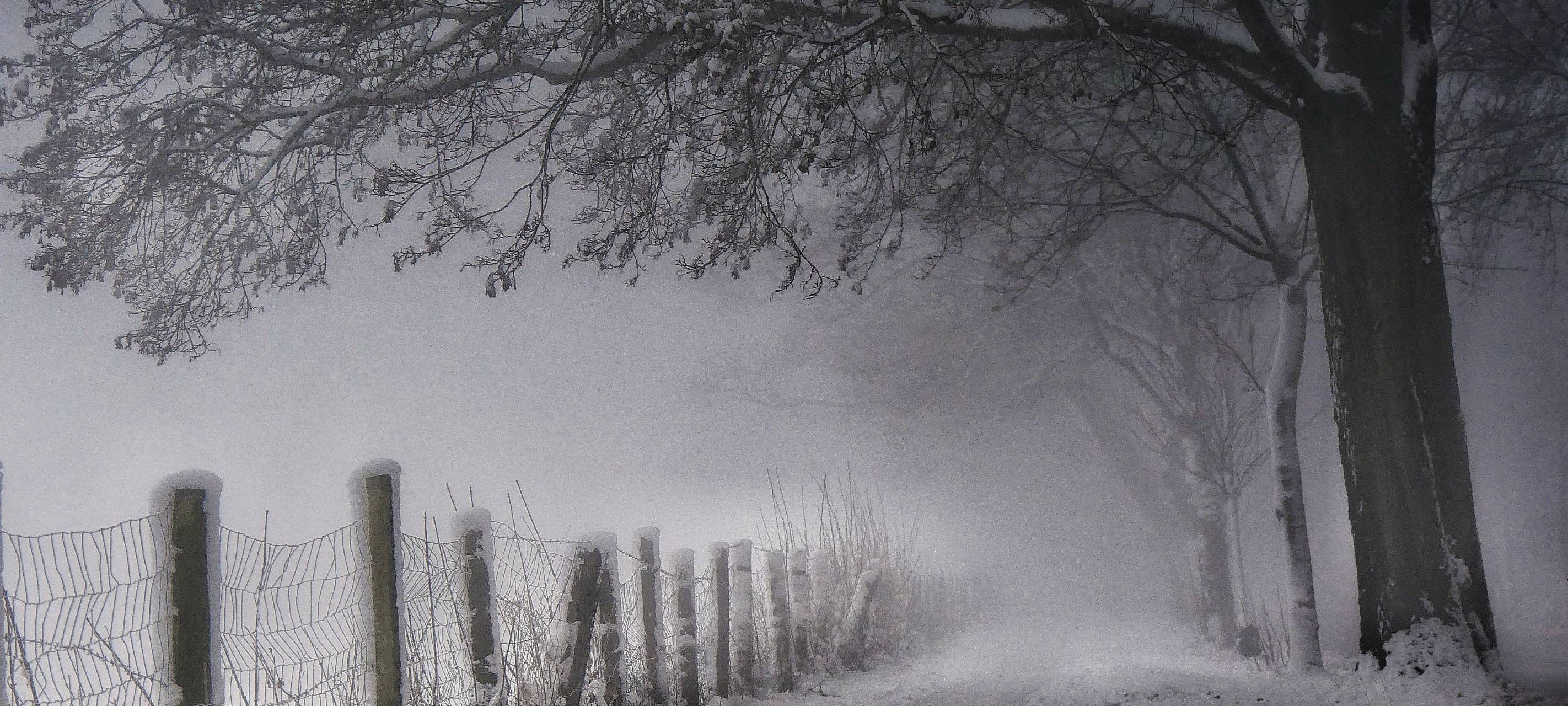 Schneefall behindert Verkehr