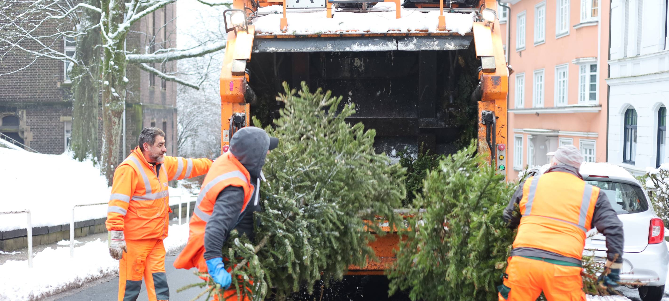 Ein Müllfahrzeug der AWG, in das Müllwerker gerade zwei Weihnachtsbäume wuchten.