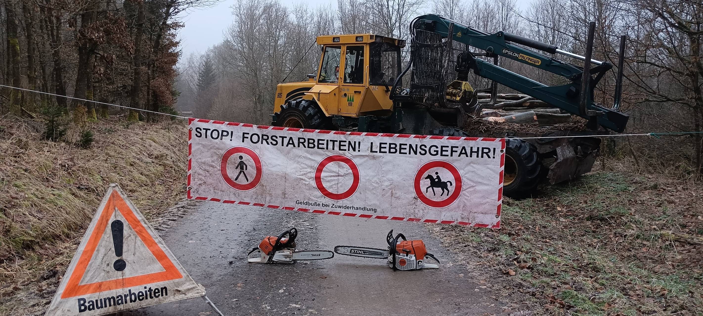 Waldarbeiten im Wald bei Herbringhausen