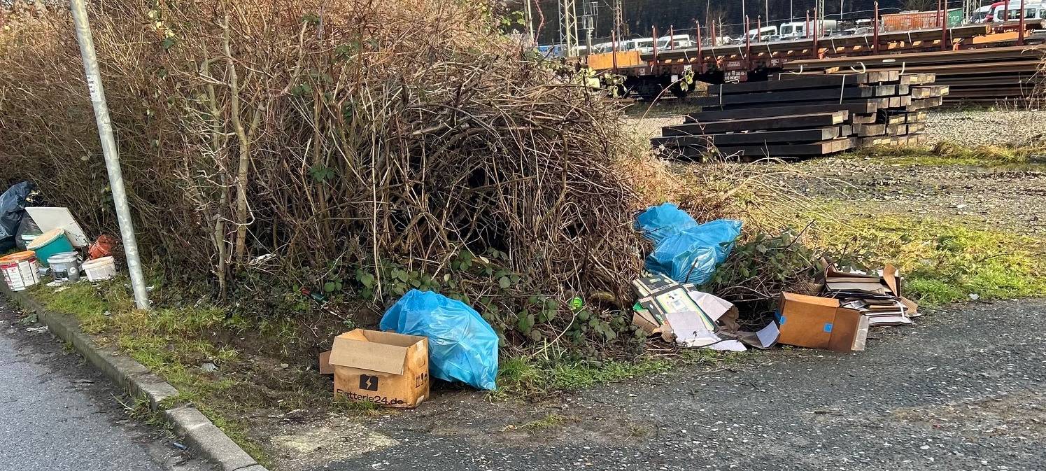 Lösung für langes Müll-Problem?