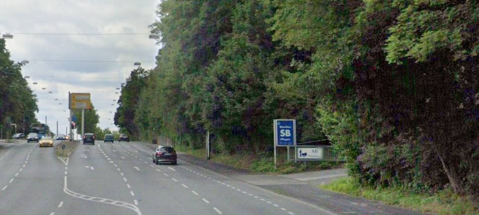 Rodung an der B7 in Oberbarmen