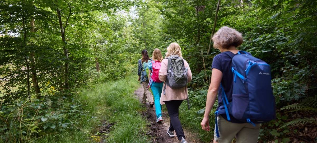 Bergische Wanderwoche: Auch Touren in Wuppertal