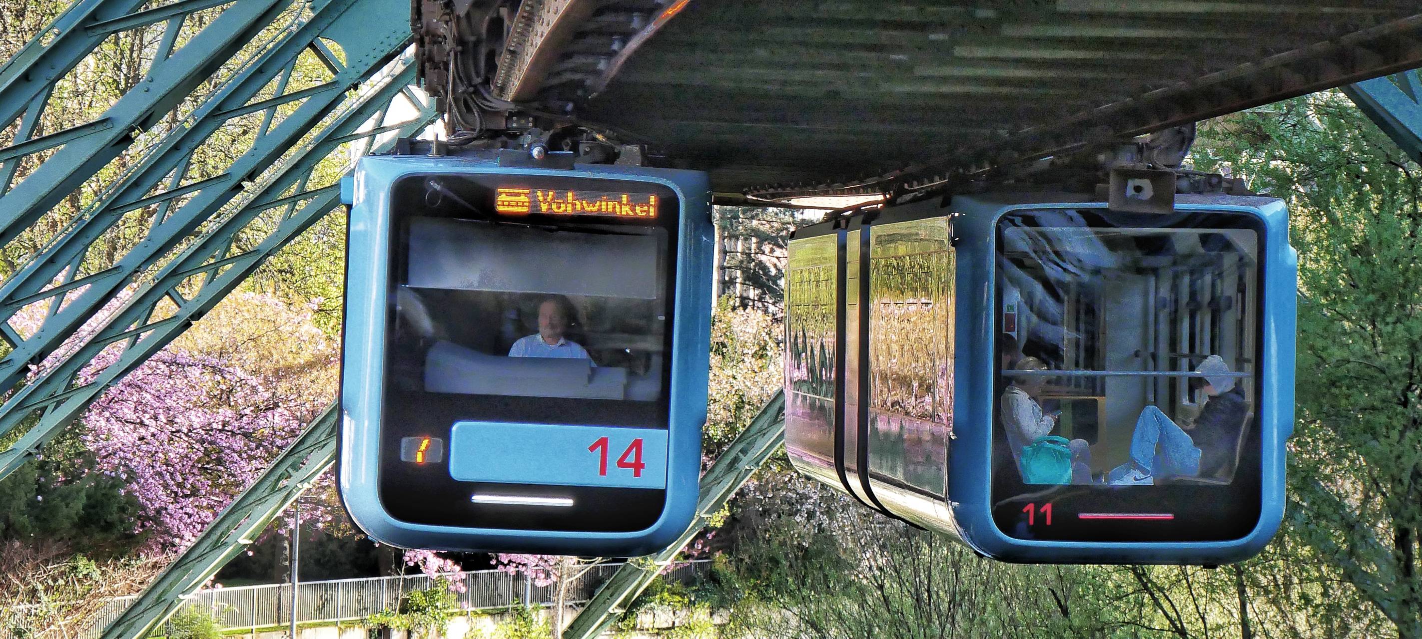 Zwei Schwebebahnen begegnen sich im Frühling, im Hintergrund Zierkirschbäume