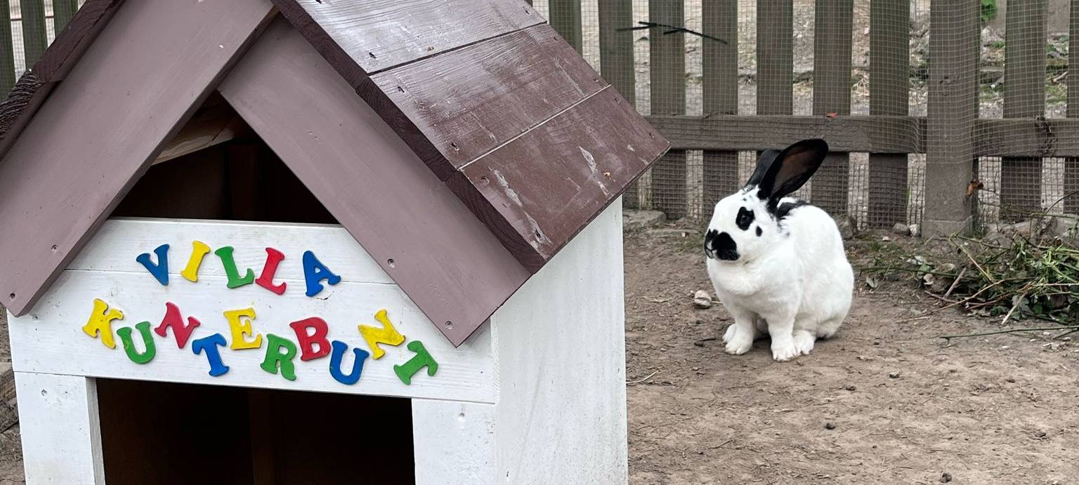 Wo ihr Tierbabys beobachten könnt