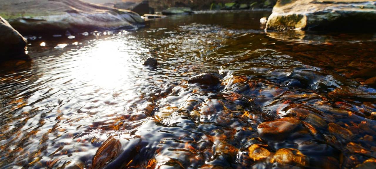 Foto Freitag Bild Achim Otto Wupper