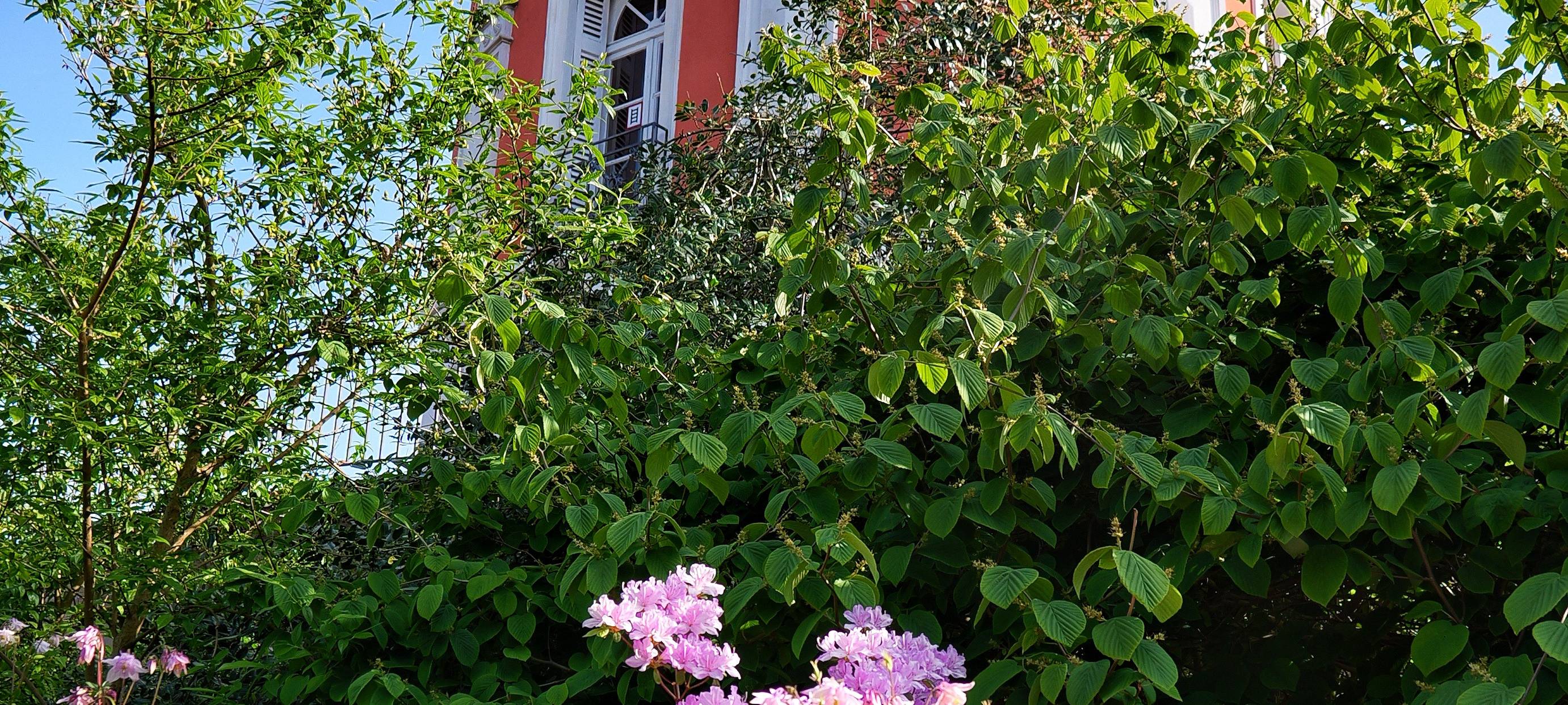 Familienfest auf der Hardt
