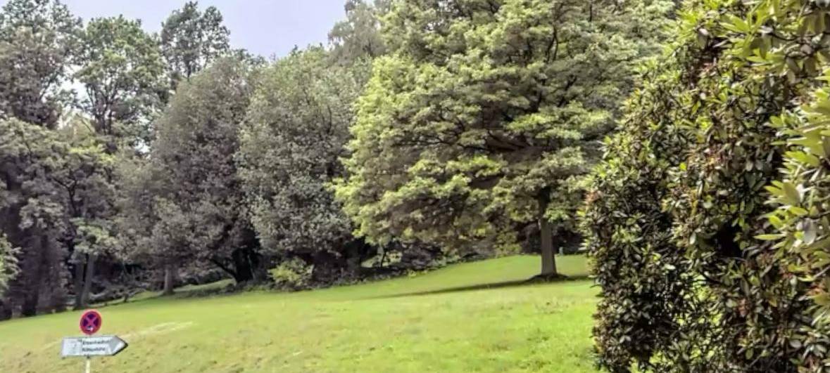Neue Gedenktafeln am Ehrenfriedhof Elberfeld