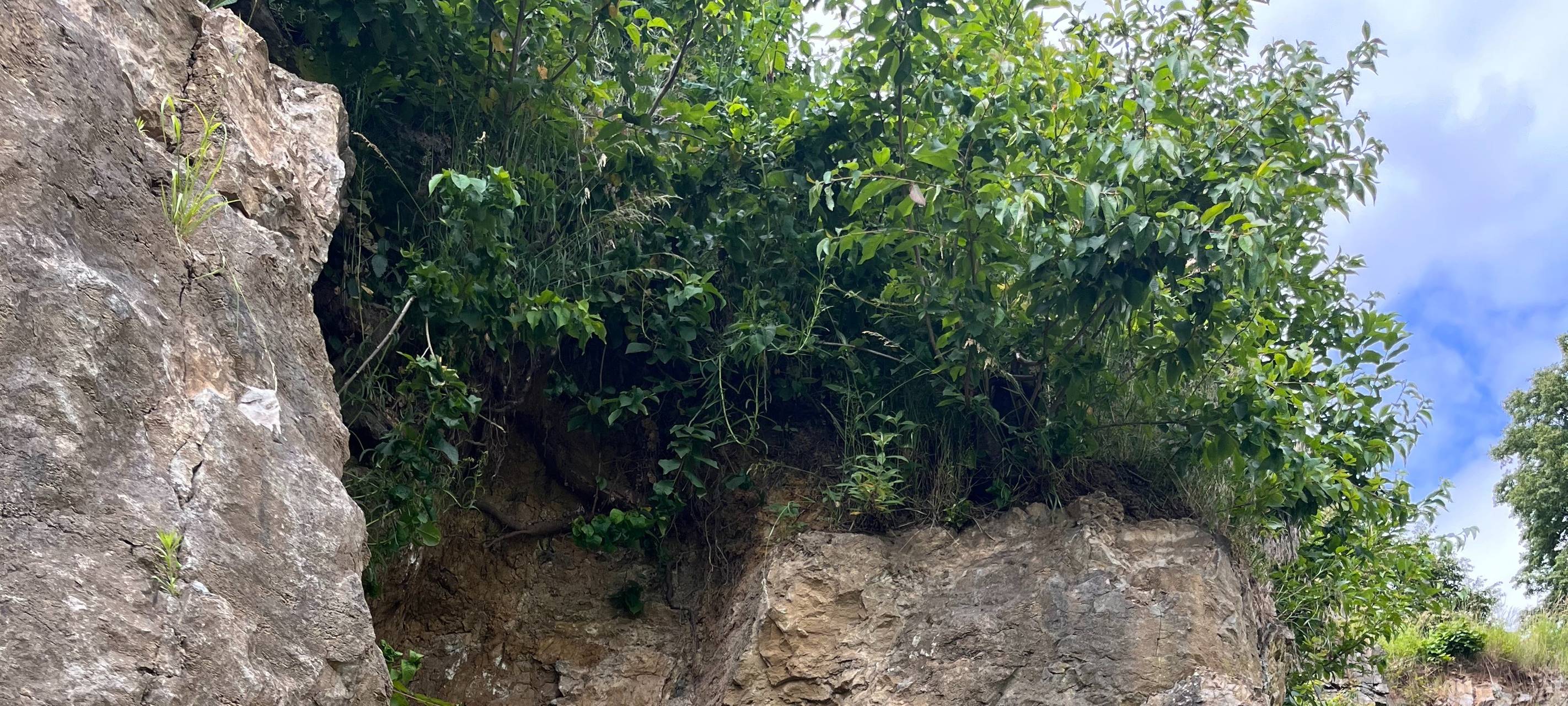 Teilsperrung der B7 für unbestimmte Zeit