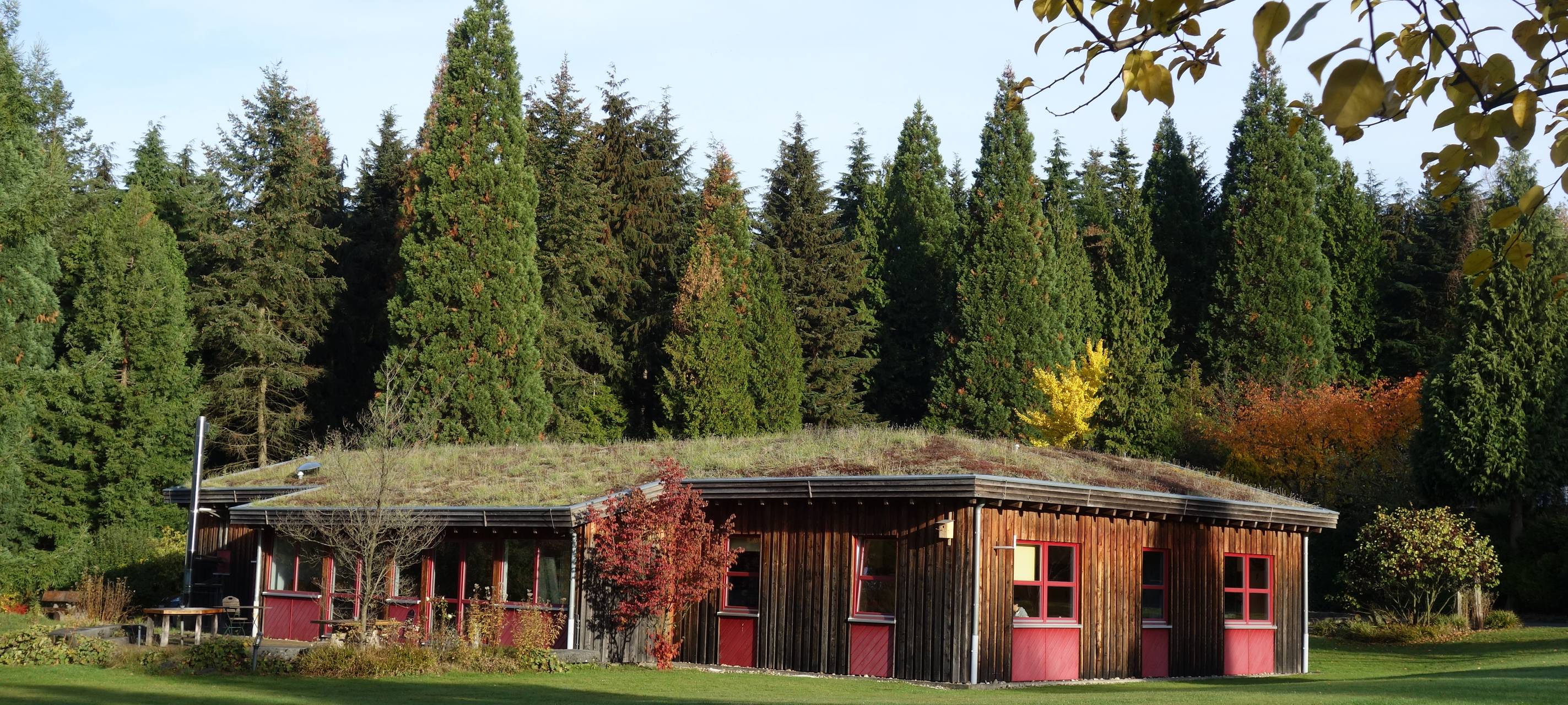Waldjugendspiele im Burgholz