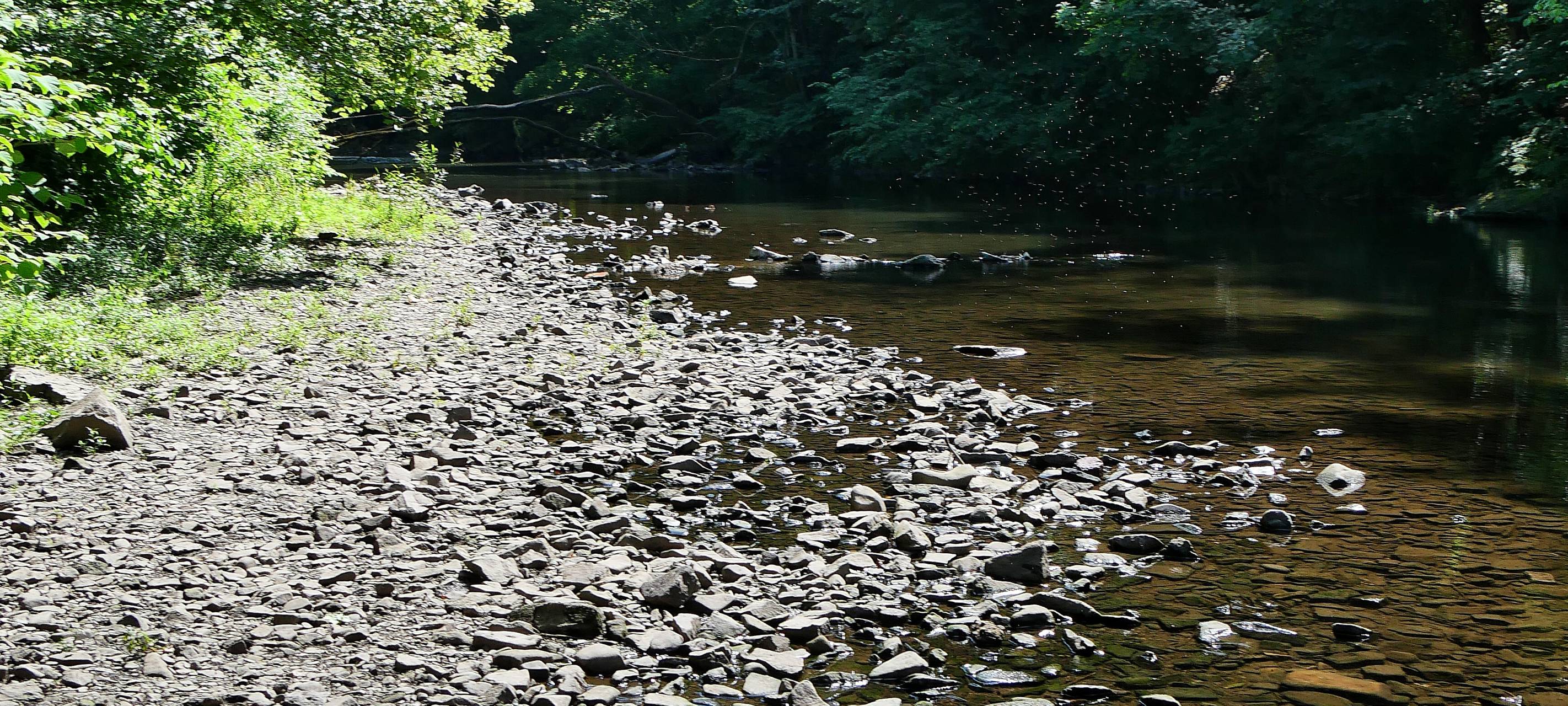 Wupperwasser wird weniger