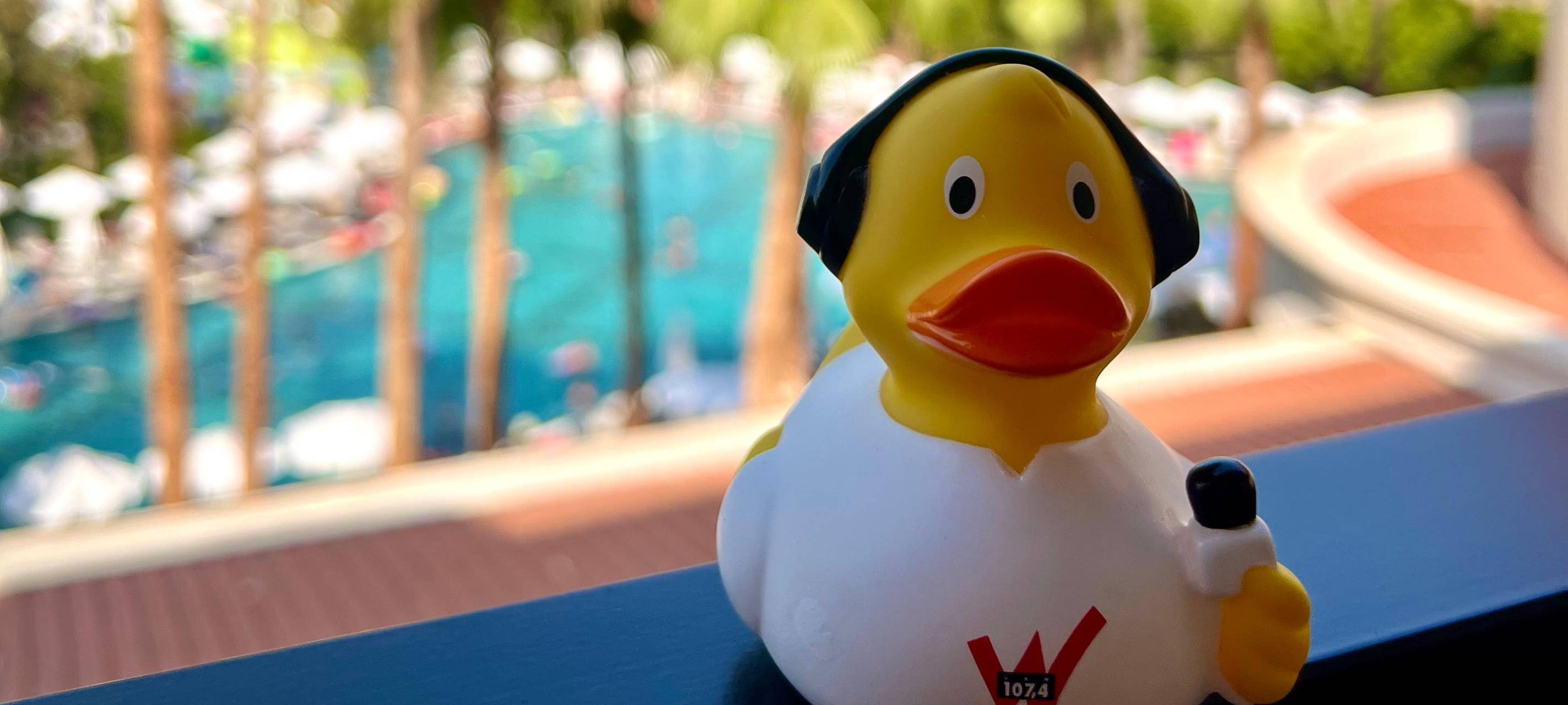 Die schönsten Fotos von der Urlaubs-Ente