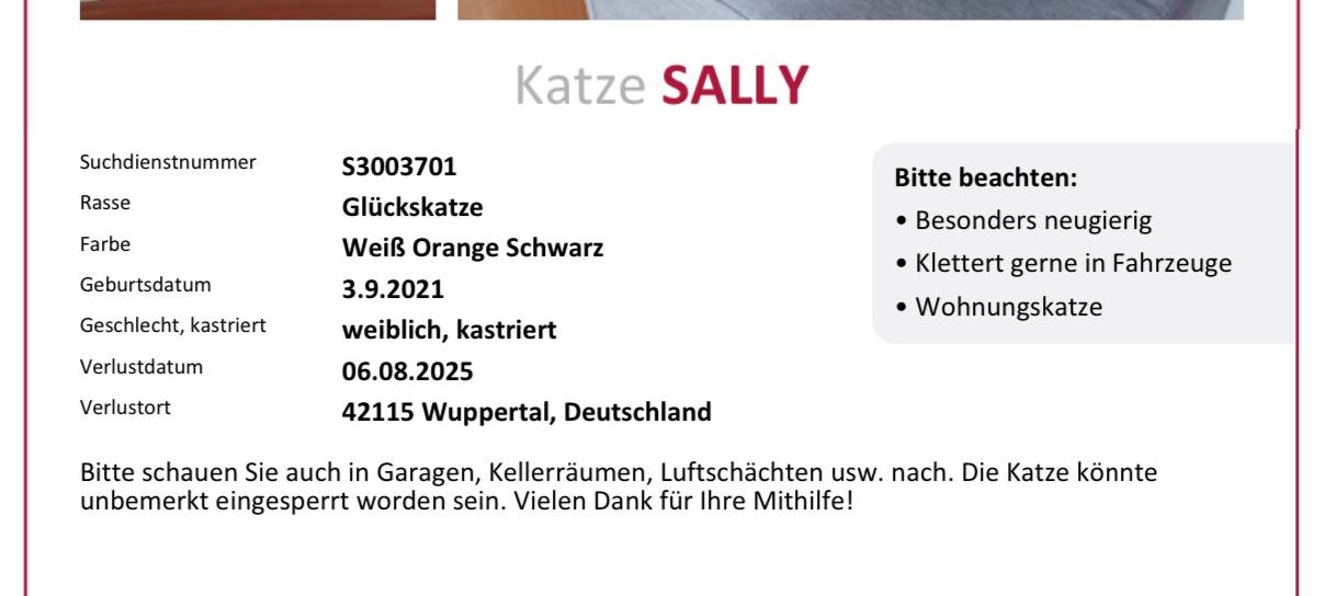 Katze vermisst!