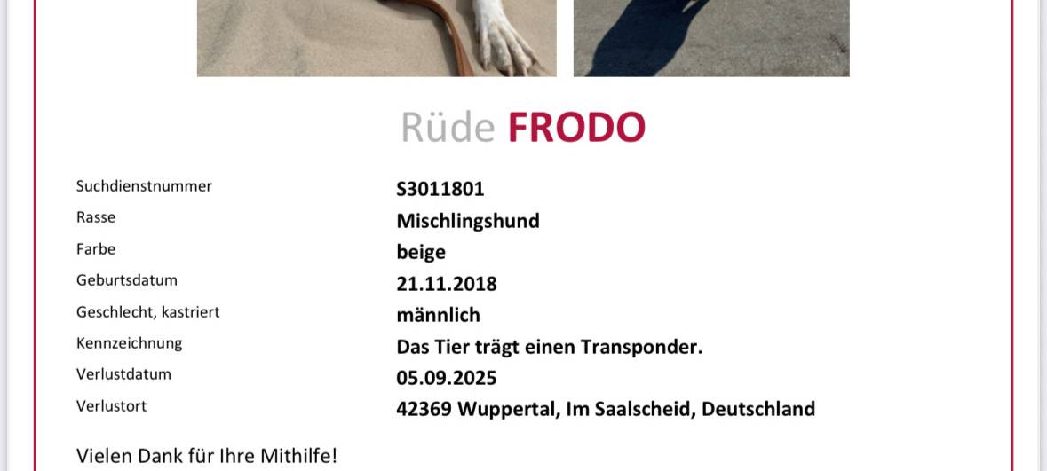 Hund Frodo im Saalscheid entlaufen