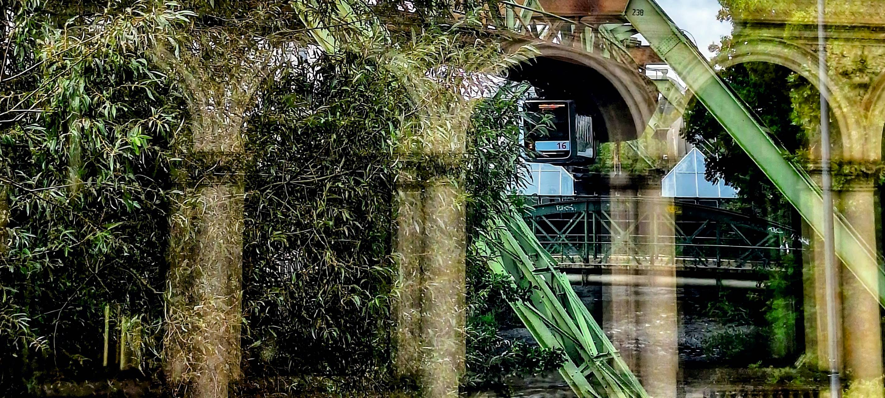 Fotopreis: Sieger steht fest