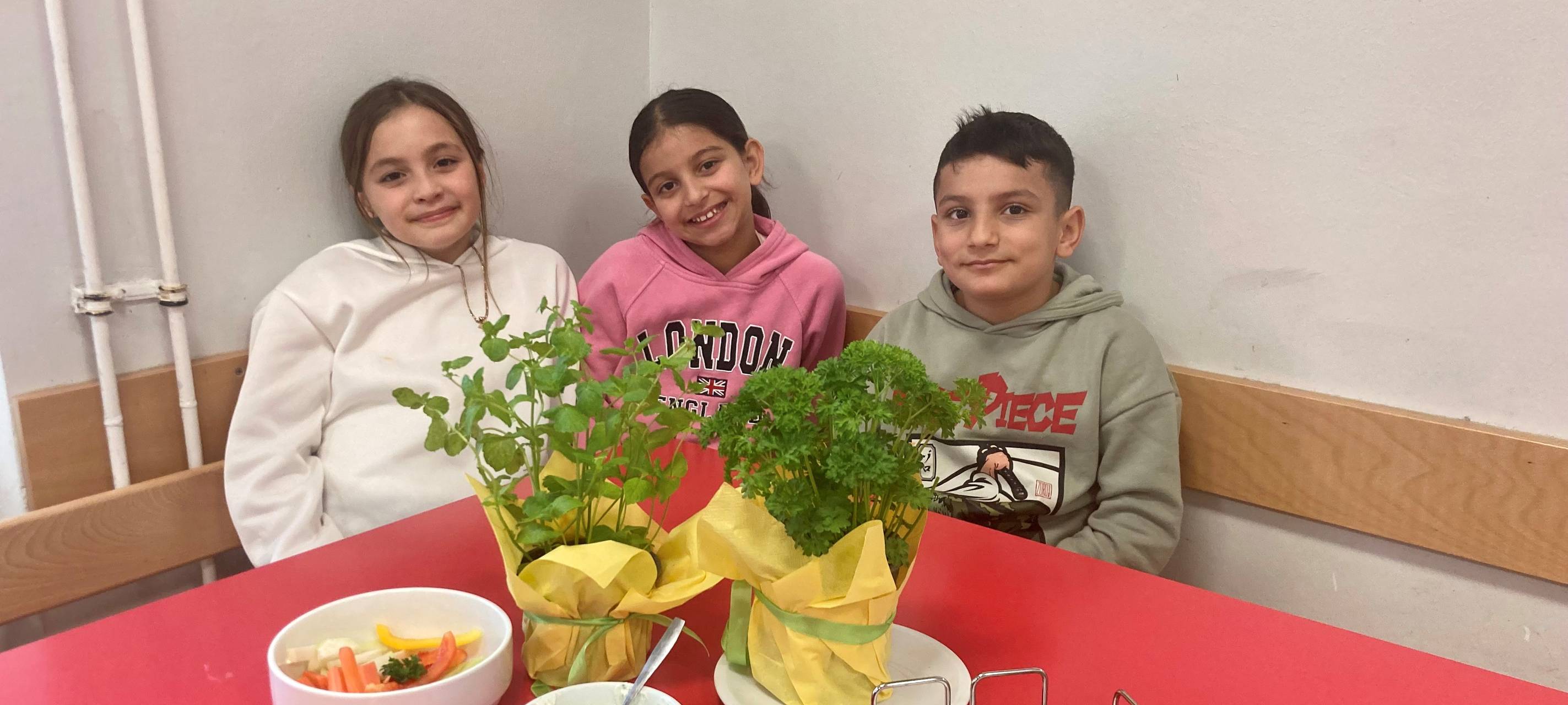 Schul-Essen ohne Qualitätsstandards und Übersicht