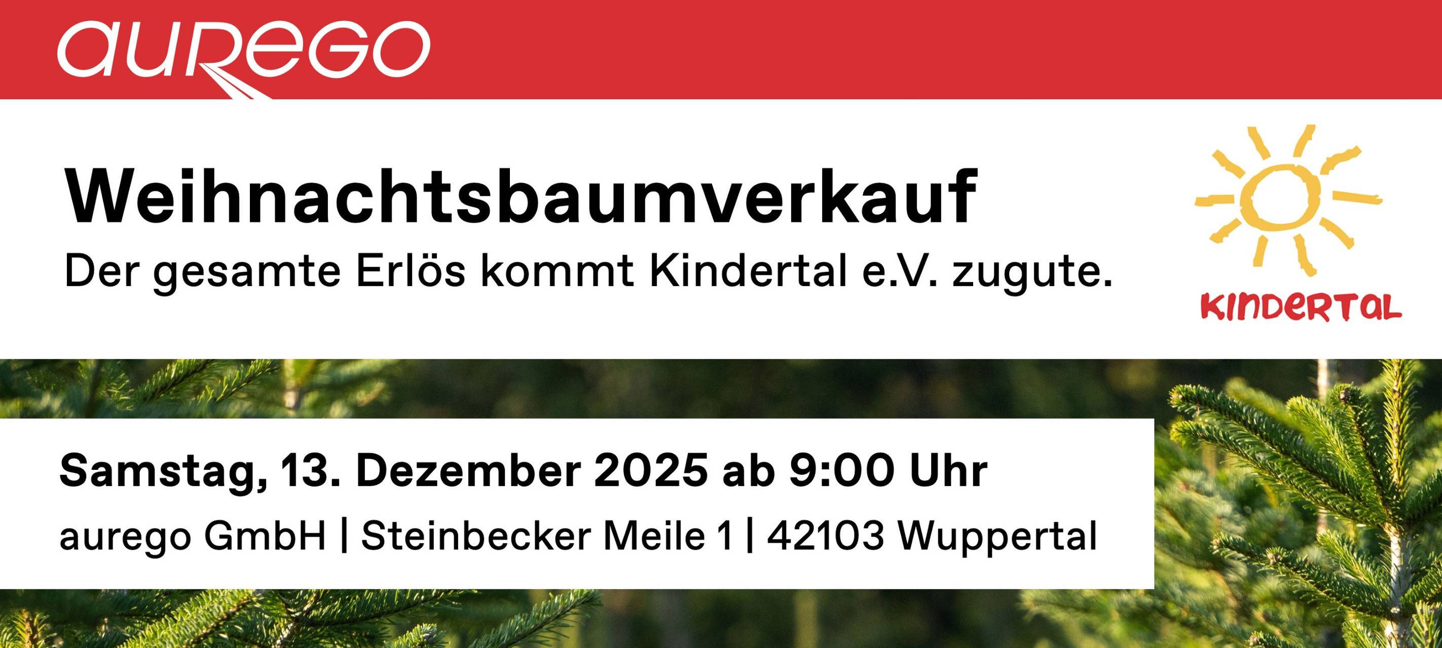 aurego verkauft Weihnachtsbäume für Kindertal