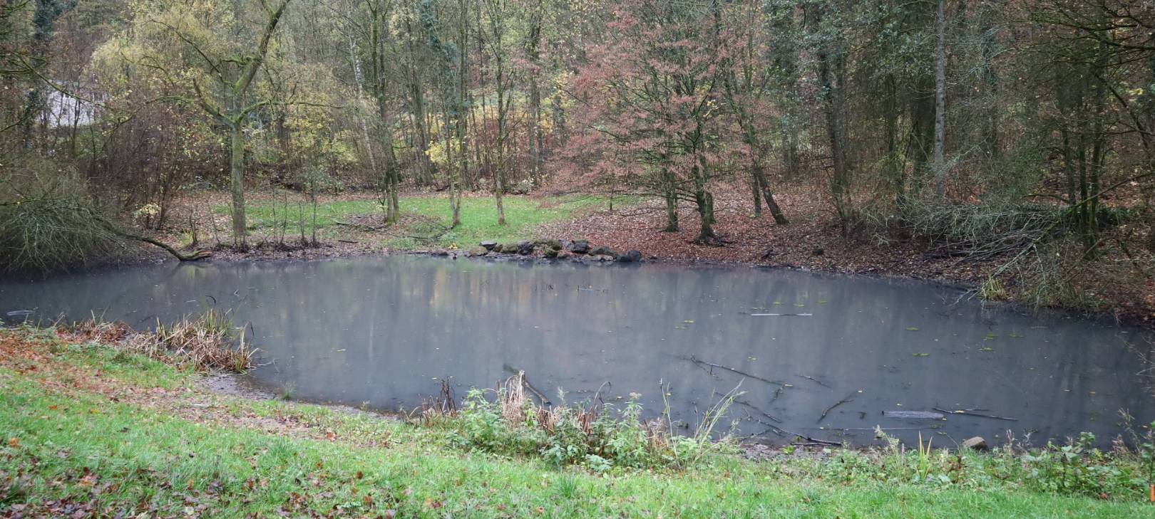 Hochwasserschutz im Bendahler Bachtal wird verbessert