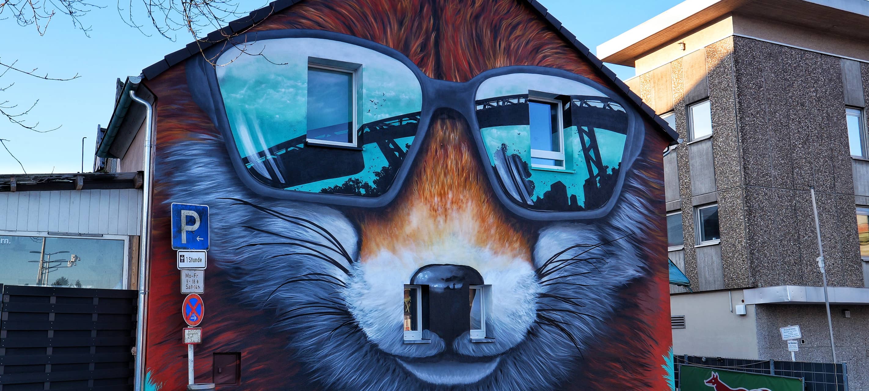 Der Fuchs mit Brille an der Bissingstraße in Vohwinkel.