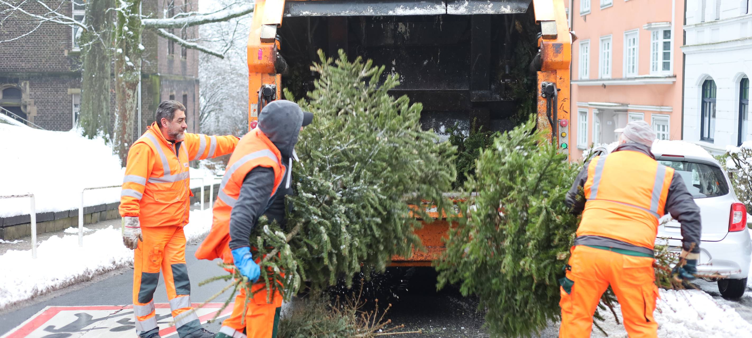 Weihnachtsbäume zu Kompost
