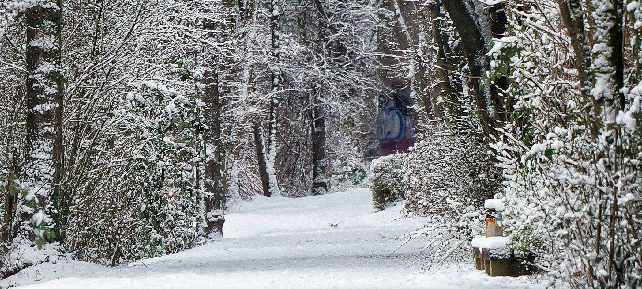 Schnee von gestern Abend meist weggeräumt