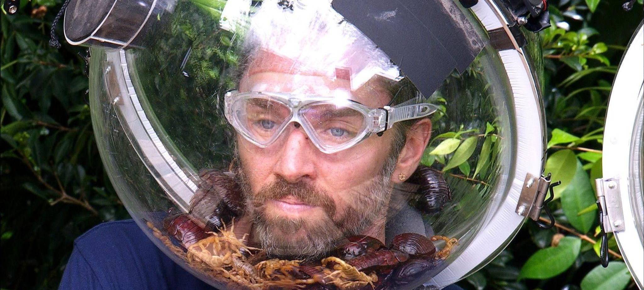 Ich bin ein Star - Holt mich hier raus! -Tag 17