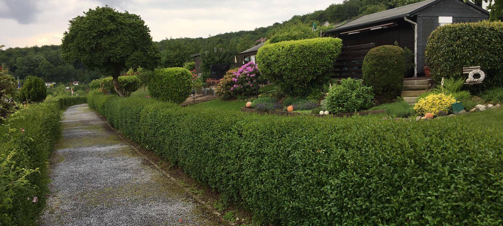 Fotowettbewerb für Kleingartenanlagen