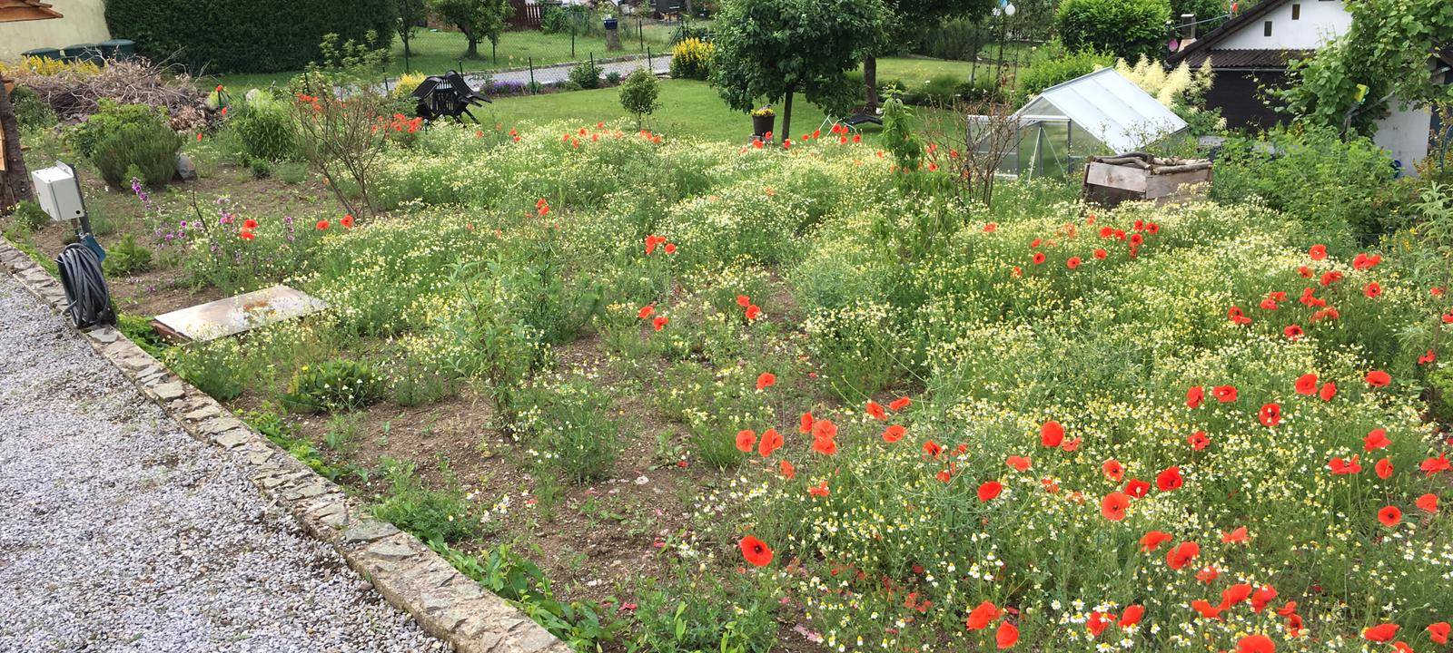 Wuppertal führend bei Gemeinschaftsgärten