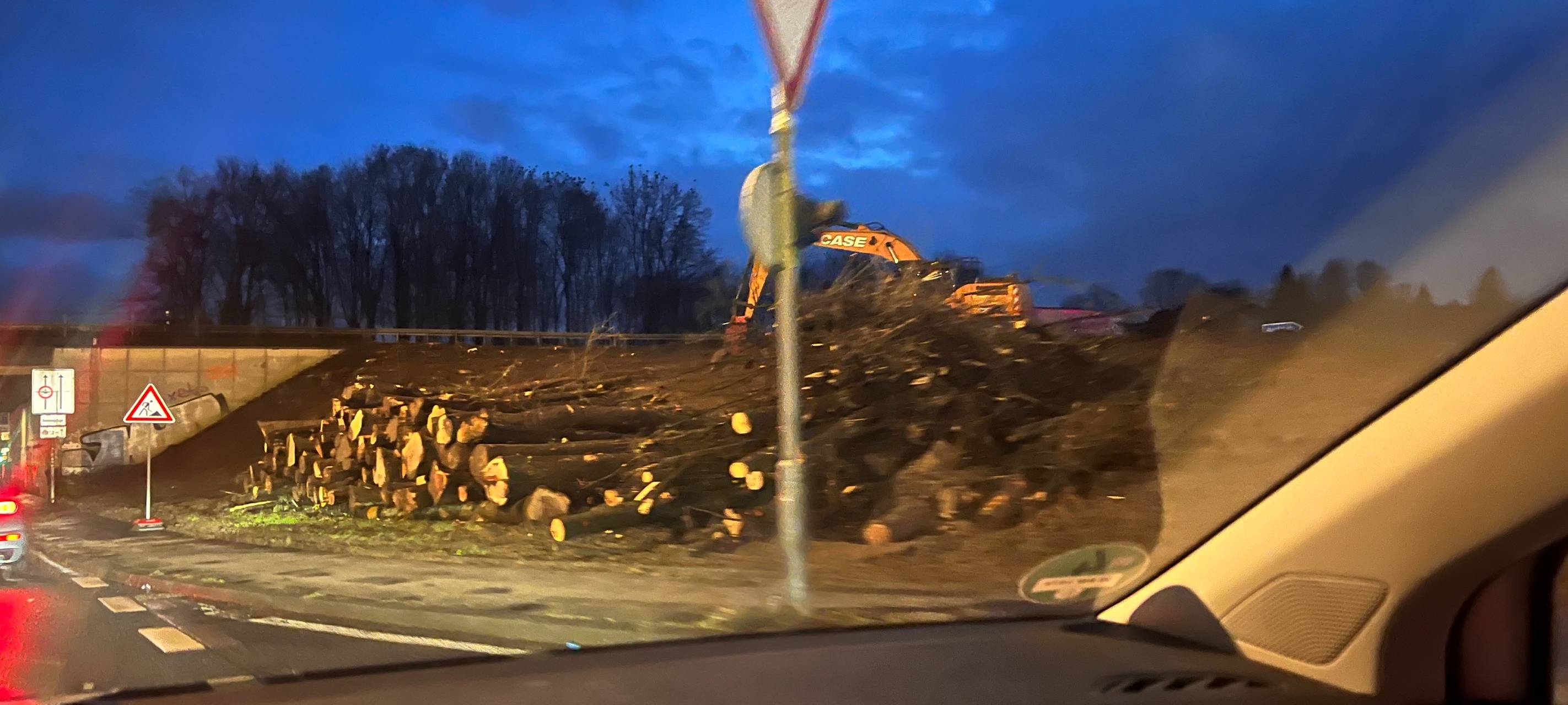 Rodungen bei Katernberg