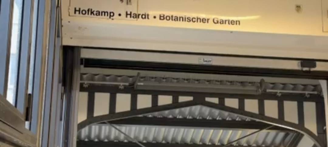 Taubenküken entsorgt?