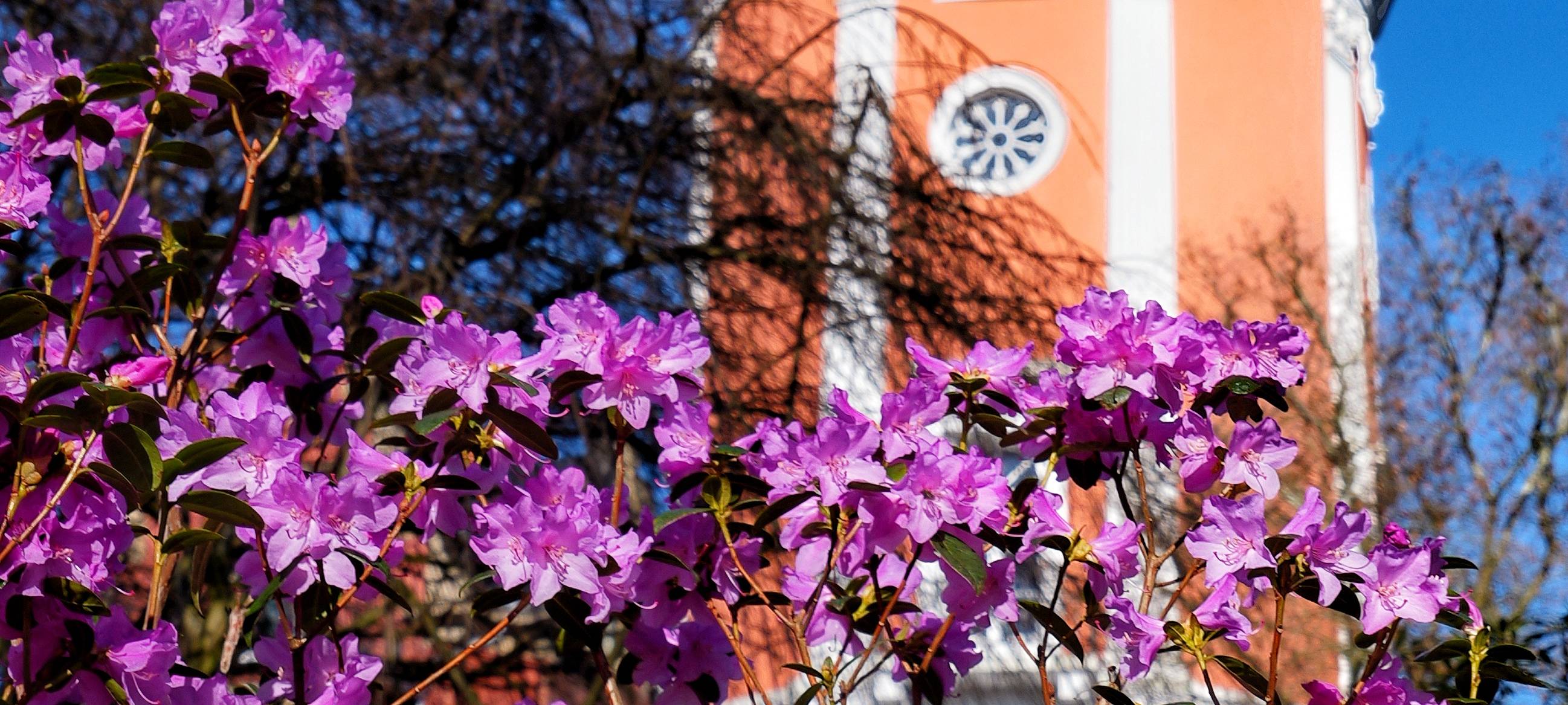 Wuppertal: Rund um den Elisenturm