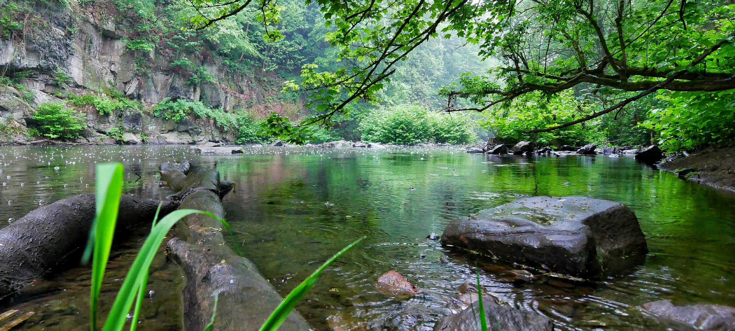 Der Green-City-Plan für Wuppertal