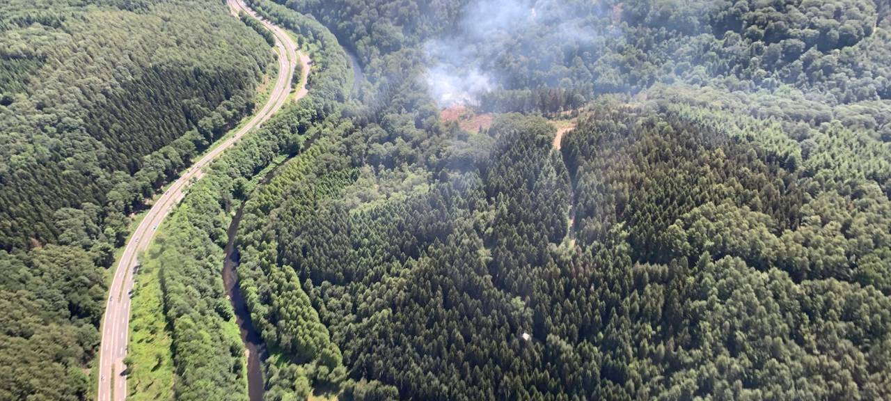 Hohe Waldbrandgefahr in Hitzewoche