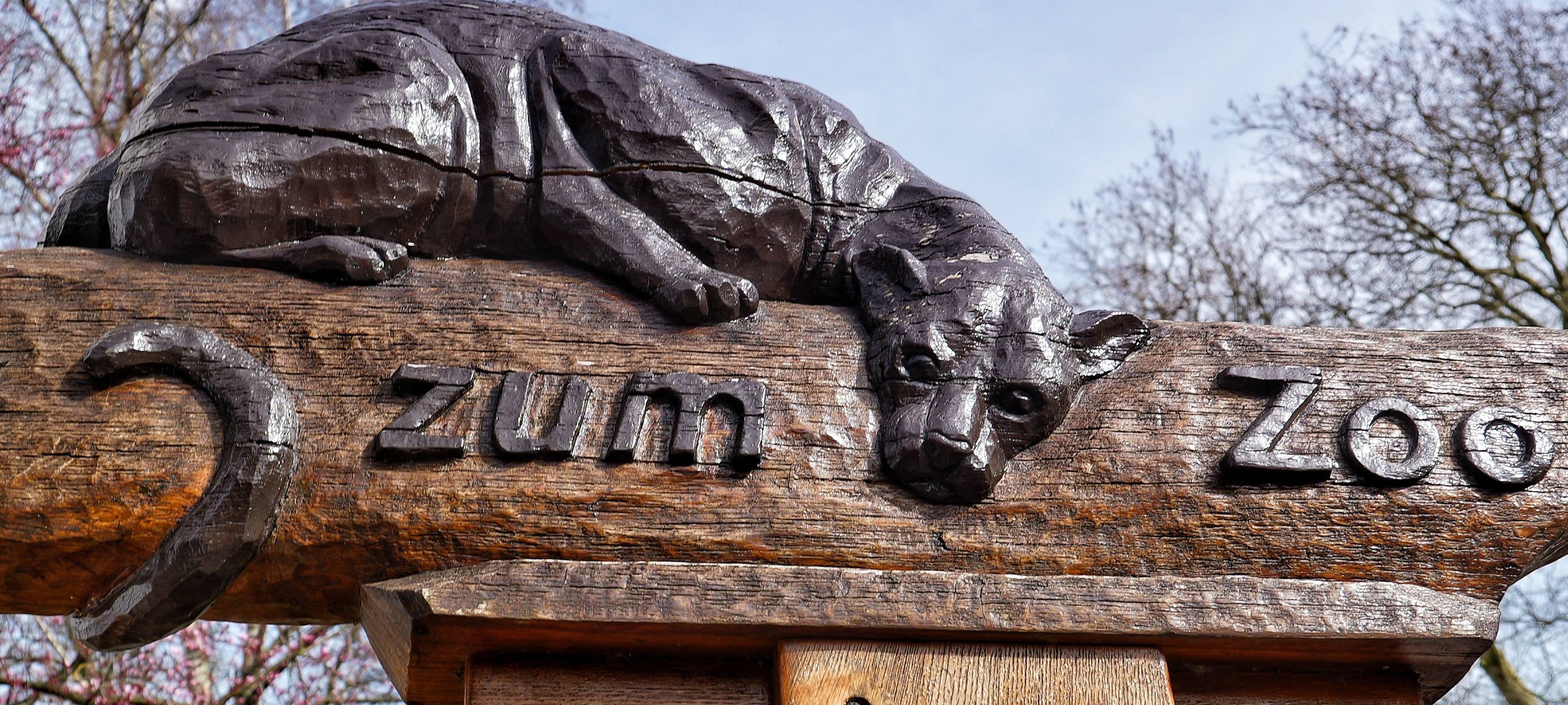 Neue afrikanische Gebiete für den Zoo