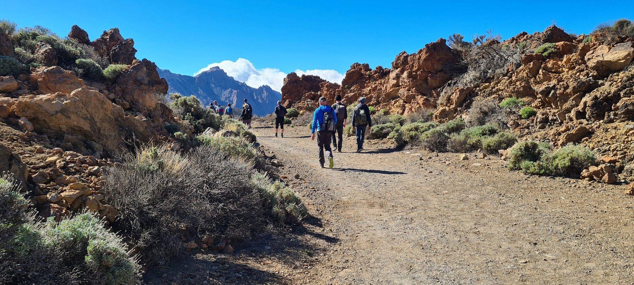 Vulkanlandschaft auf Teneriffa