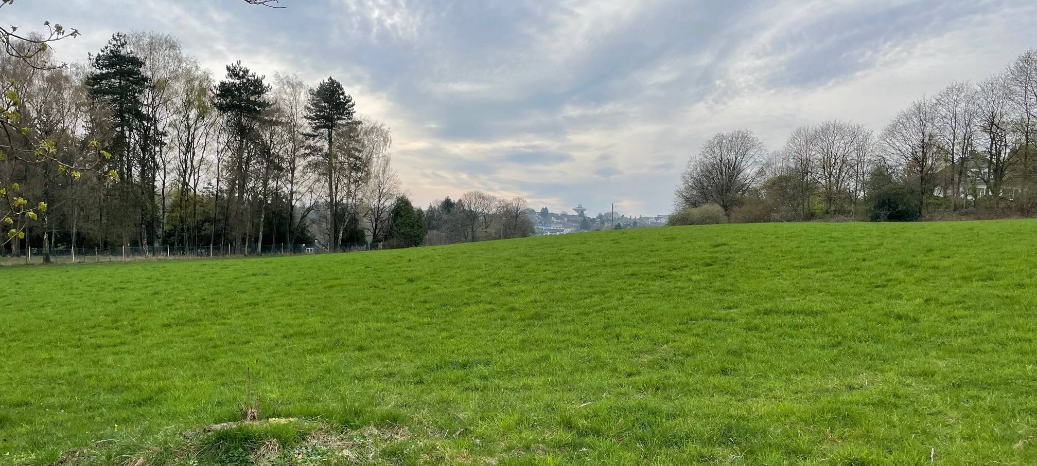 Verein kauft Teile der Marper Wiesen