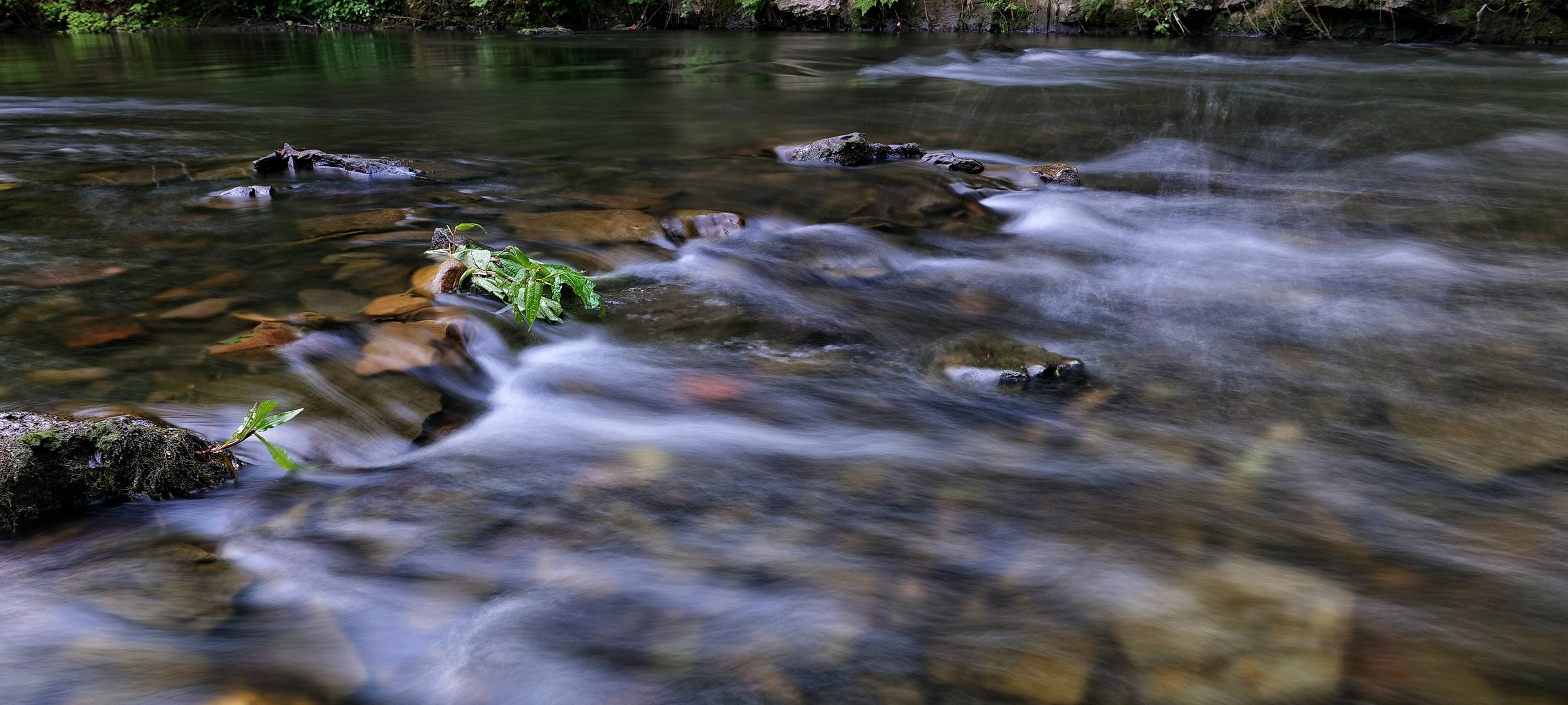 Letzter Abschnitt zur Renaturierung der Wupper startet heute
