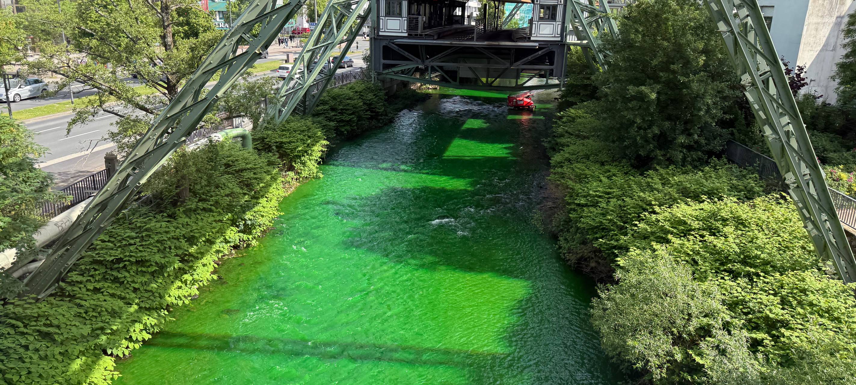 Aktivisten färben Wupper grün