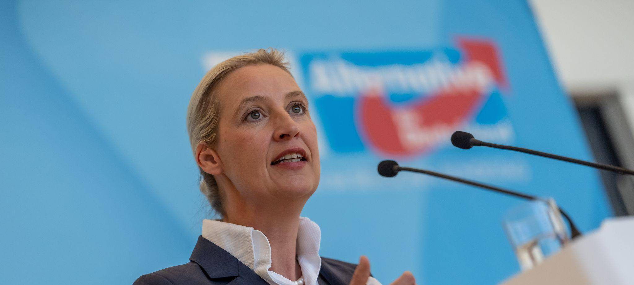 Fraktionssitzungen im Bundestag - AfD