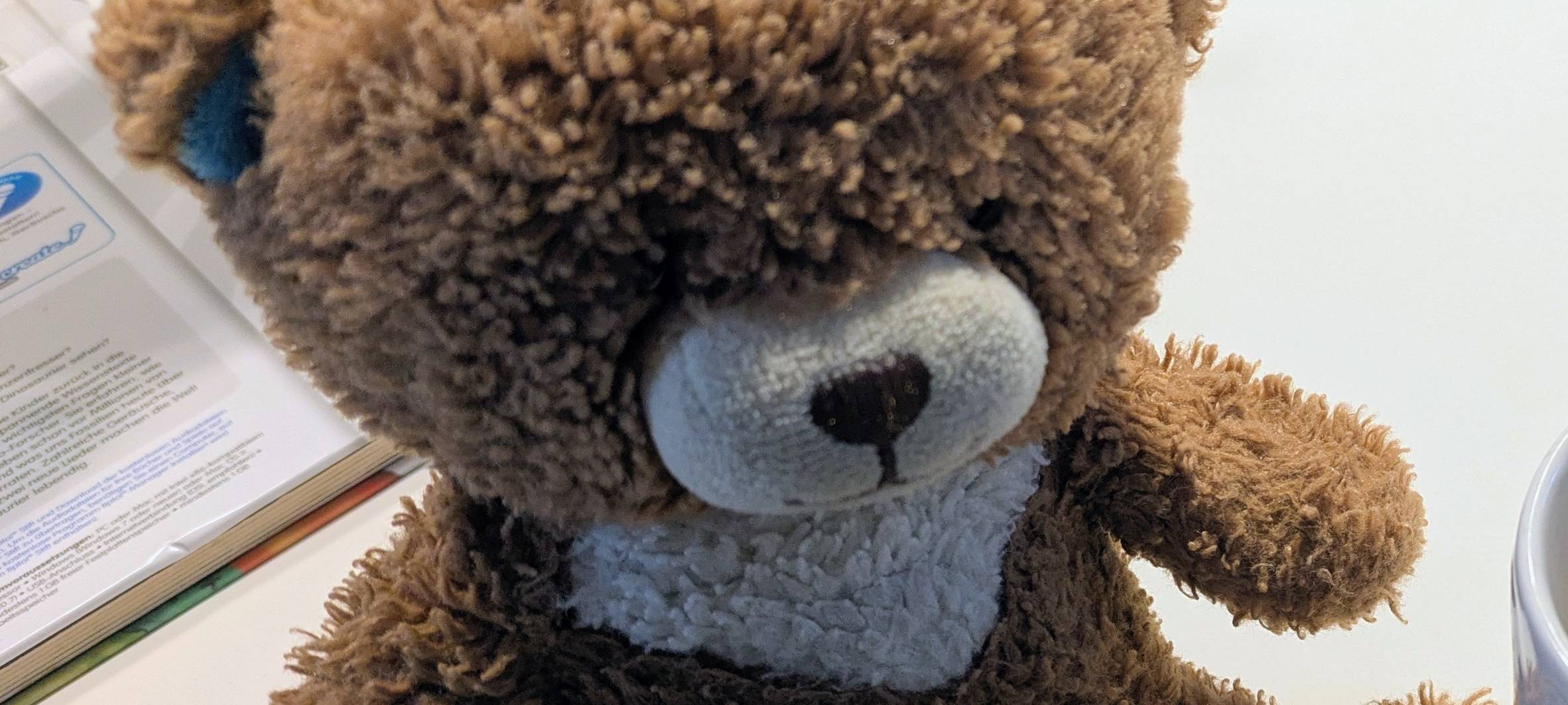 Lieblings-Teddy im Bus verloren