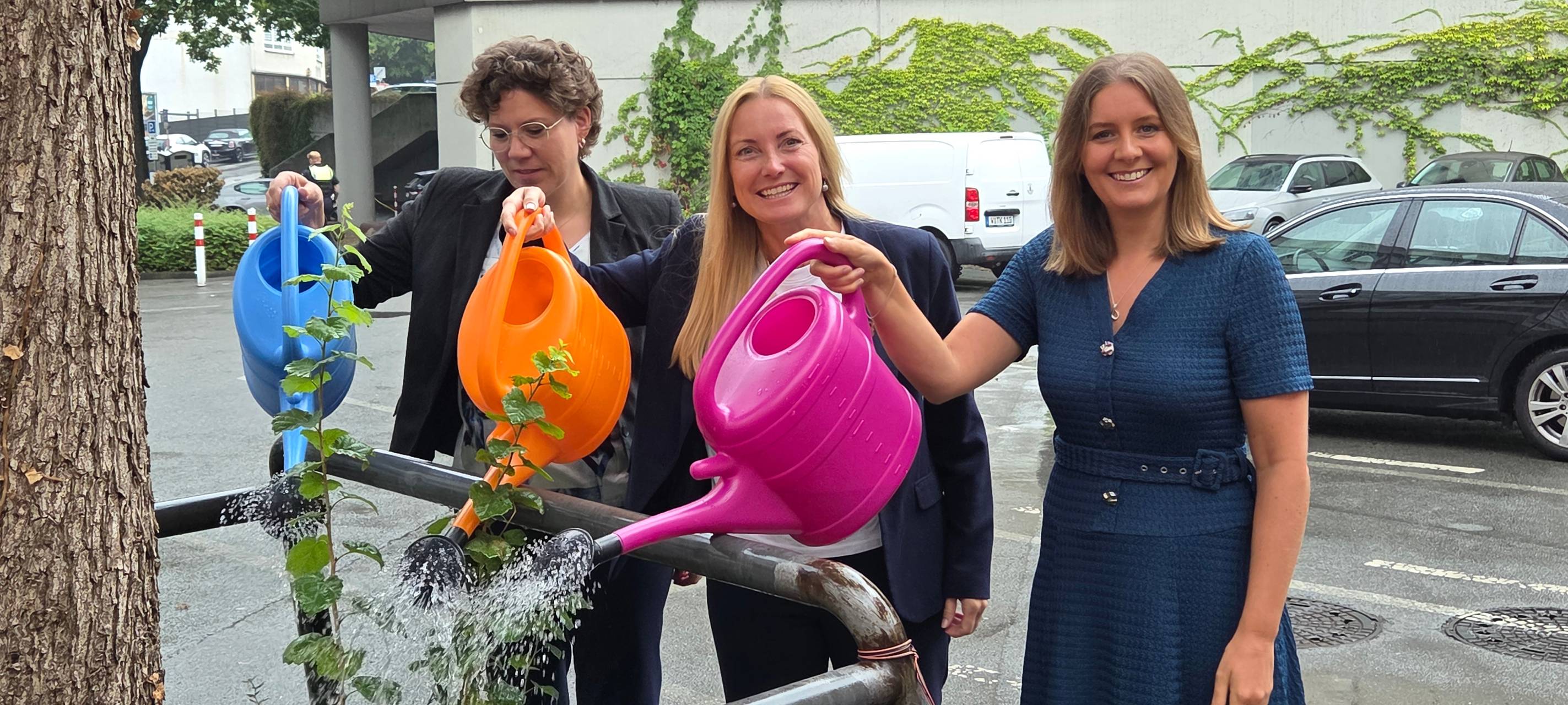 Digitale Gießkarte zeigt, welche Stadtbäume Wasser brauchen
