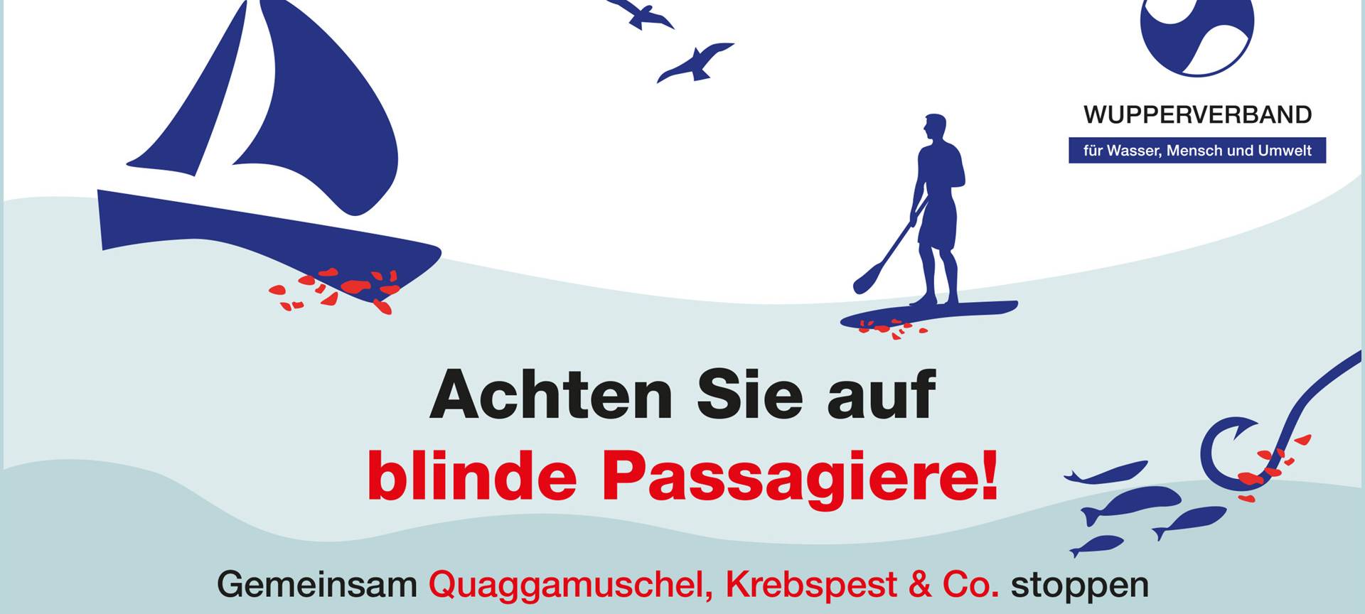 Neue Reinigungsregeln auf der Wupper