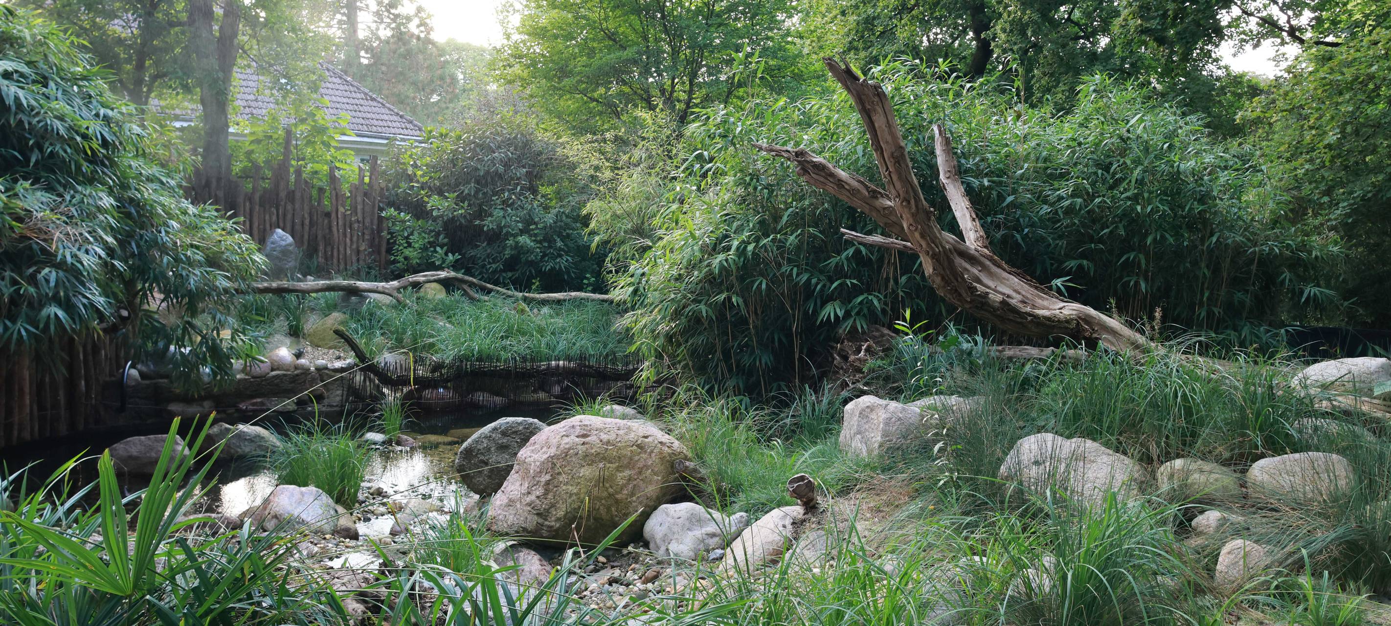 Neue Anlage "Rivers of Sulawesi" im Zoo