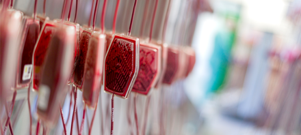 Wuppertaler Blutspendetag