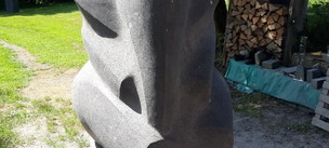 Tuffi kehrt zurück in die Wupper