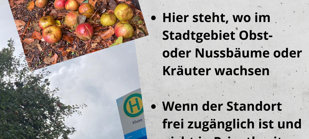 Die Radio Wuppertal Sparfuchswoche